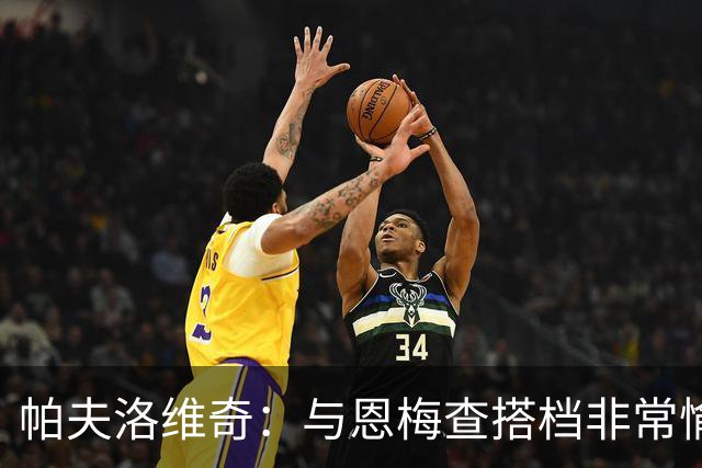 帕夫洛维奇：与恩梅查搭档非常愉快，诺伊尔对我帮助巨大